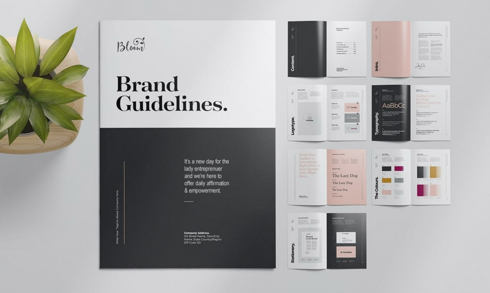 Brand Guideline Example